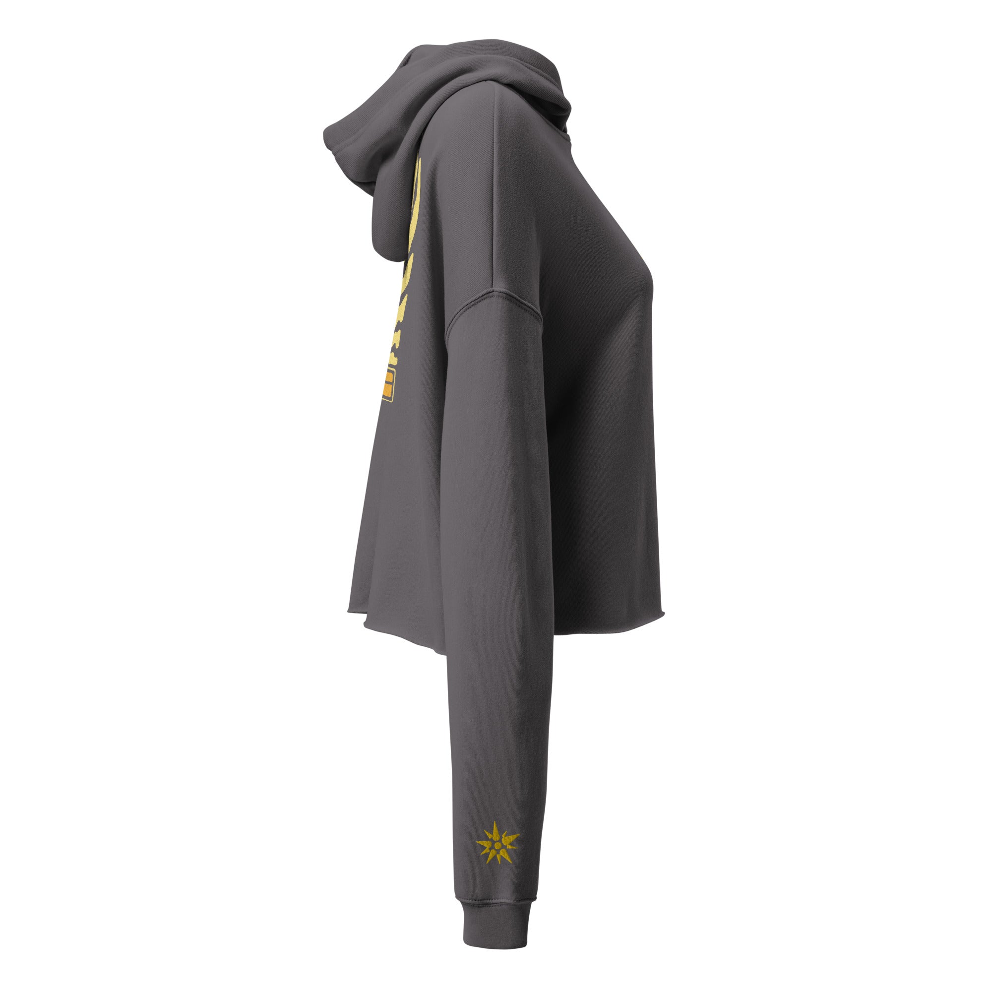 Play Sunny Cropped Hoodie – Pickle Riot